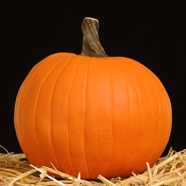 Faux Carvable Pumpkins
 Masterpiece Pumpkins FUN KINS artificial carvable pumpkins