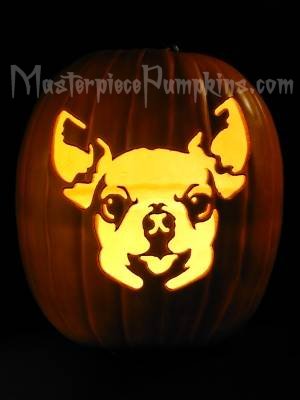 chihuahua pumpkin