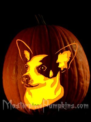 chihuahua carved pumpkin